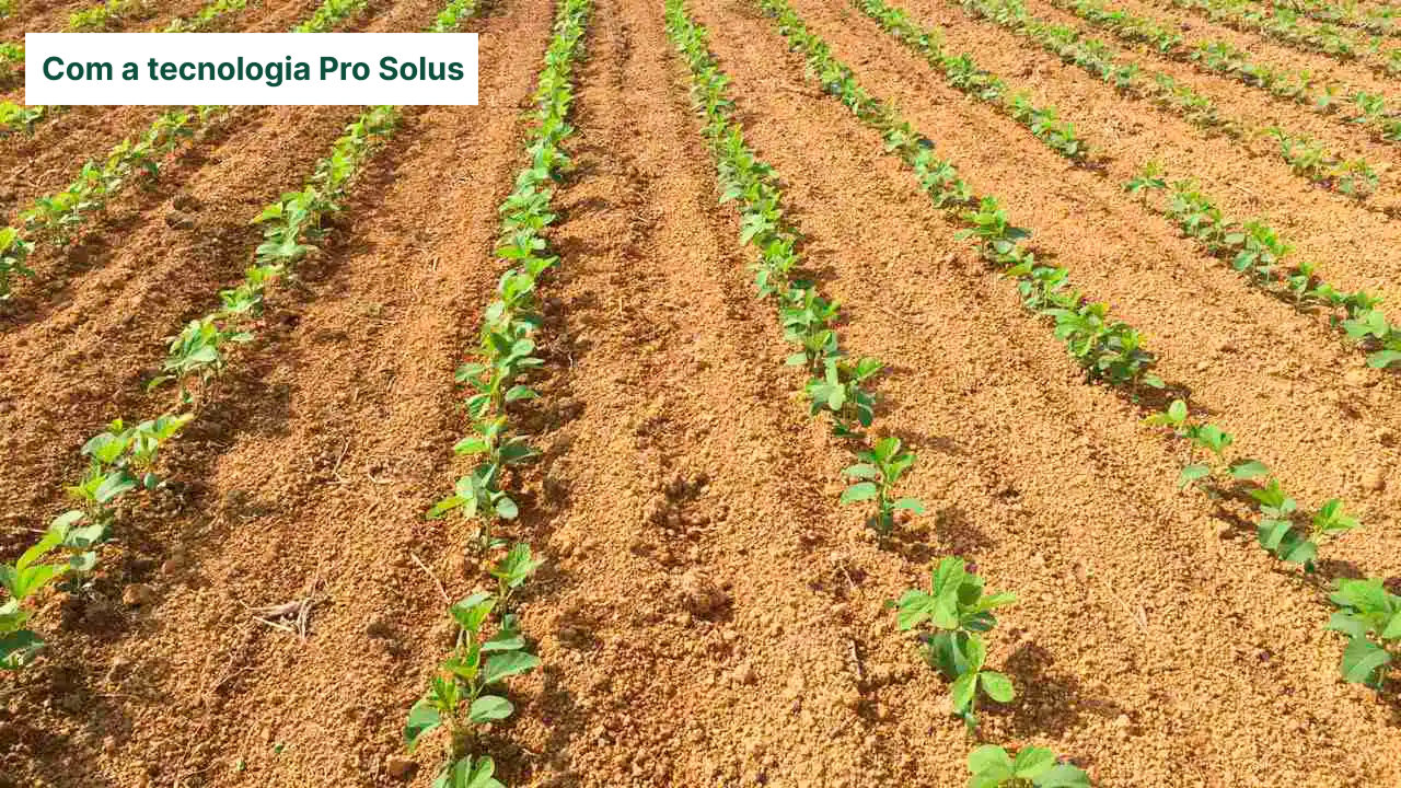 Antes da tecnologia Pro Solus